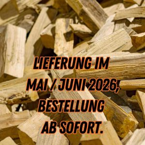 Buche frisch geschlagen mit 30 cm langen Scheiten