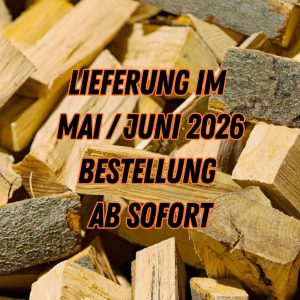 Holzscheite aus Buche 25cm lang frisch