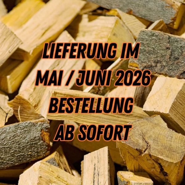 Holzscheite aus Buche 25cm lang frisch